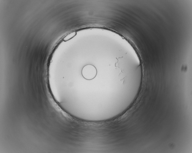 X0000113951088200911061258
