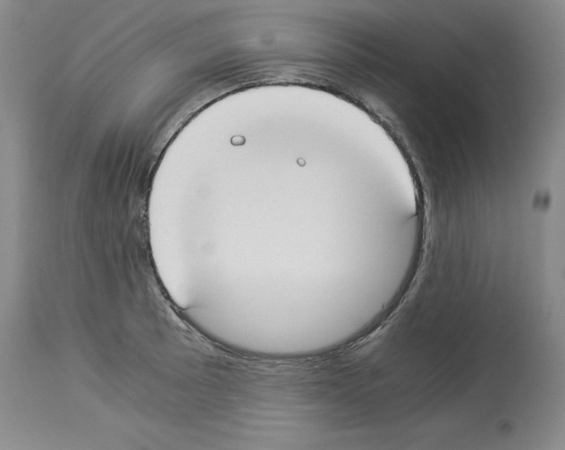 X0000113951089200911061258