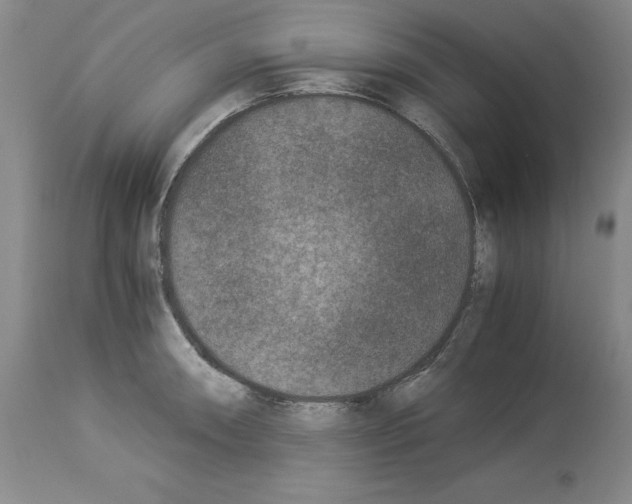 X0000113951090200911061258