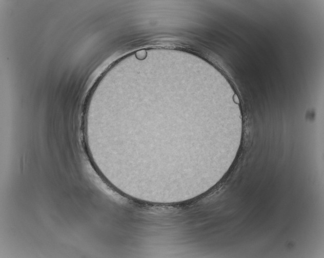 X0000113951091200911061258