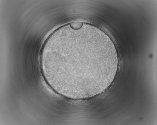 X0000113951092200911061258