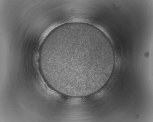 X0000113951094200911061258
