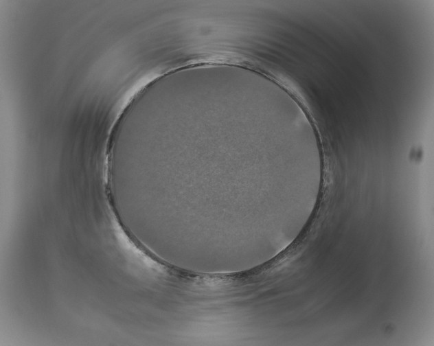 X0000113951095200911061258