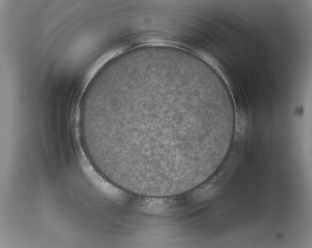 X0000113951098200911061258