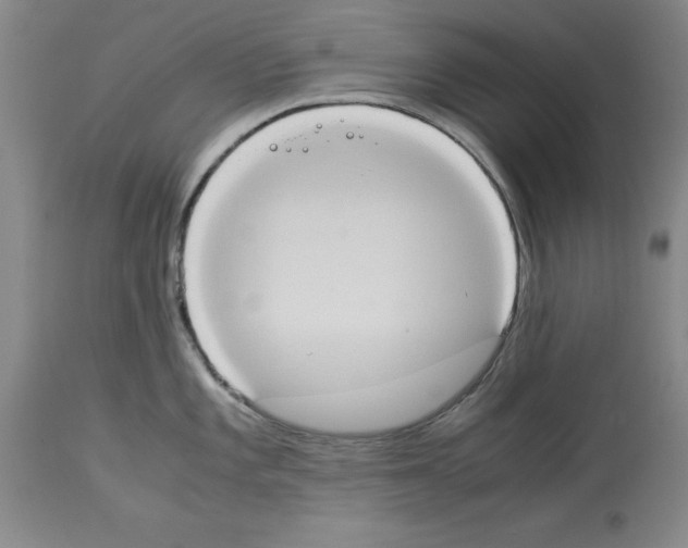 X0000113951101200911061258