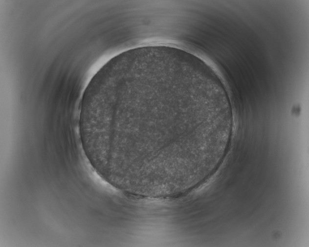 X0000113951102200911061258