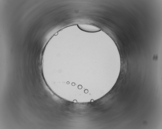 X0000113951103200911061258