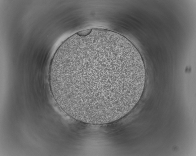 X0000113951104200911061258