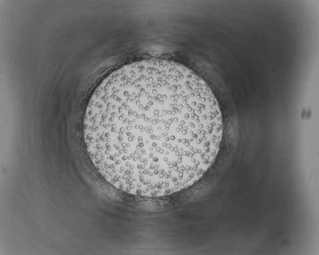 X0000113951105200911061257