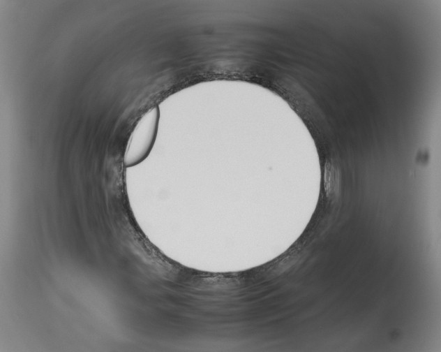 X0000113951107200911061257