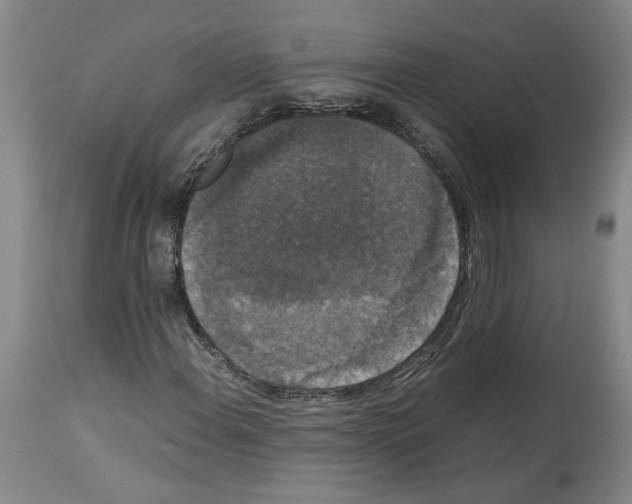 X0000113951108200911061257