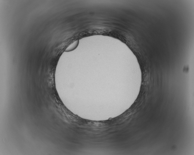 X0000113951109200911061257