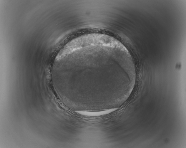 X0000113951110200911061257