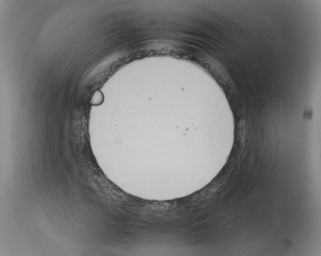 X0000113951111200911061257