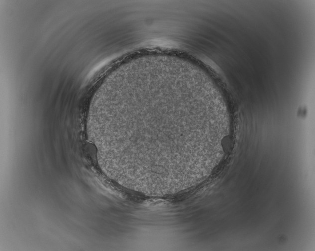 X0000113951112200911061257