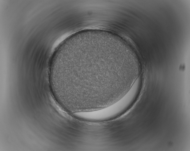 X0000113951114200911061257