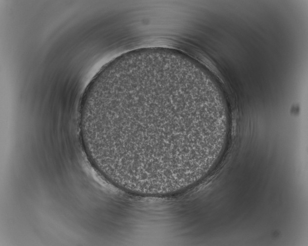 X0000113951116200911061257