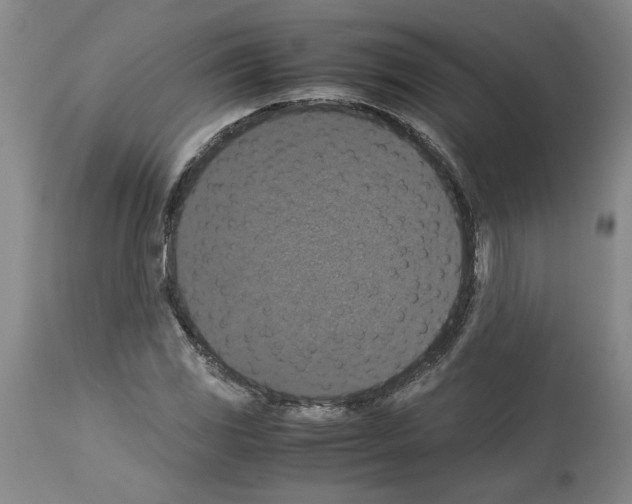 X0000113951117200911061257