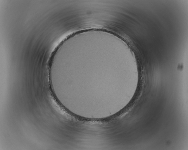 X0000113951118200911061257