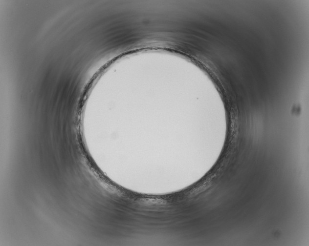 X0000113951119200911061257
