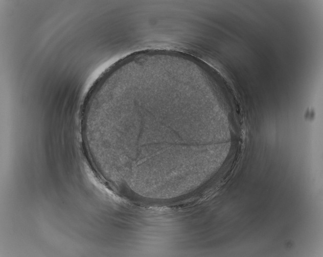 X0000113951120200911061257