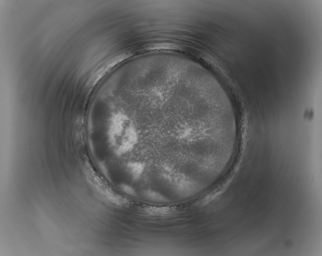 X0000113951121200911061257