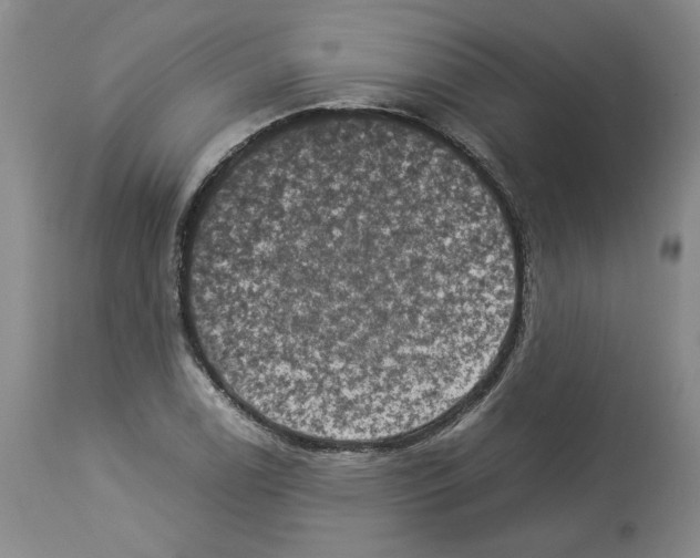 X0000113951122200911061257