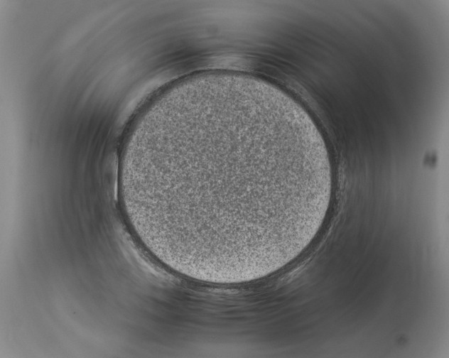 X0000113951123200911061257