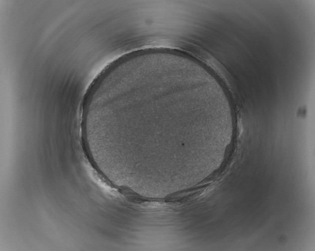 X0000113951124200911061258
