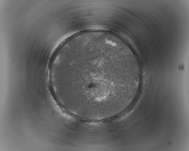 X0000113951125200911061258