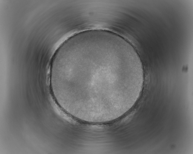 X0000113951126200911061258