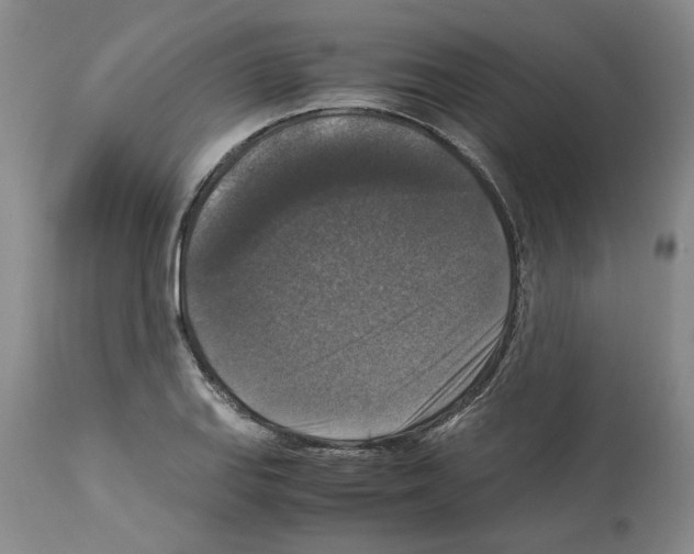 X0000113951127200911061258