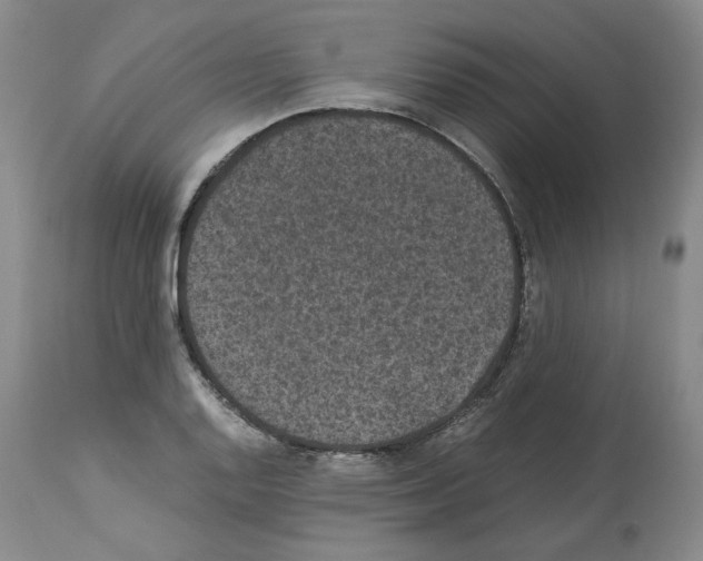 X0000113951128200911061258