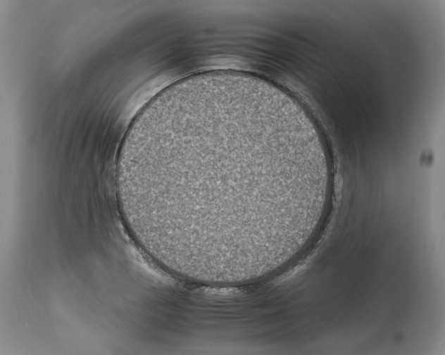 X0000113951129200911061258