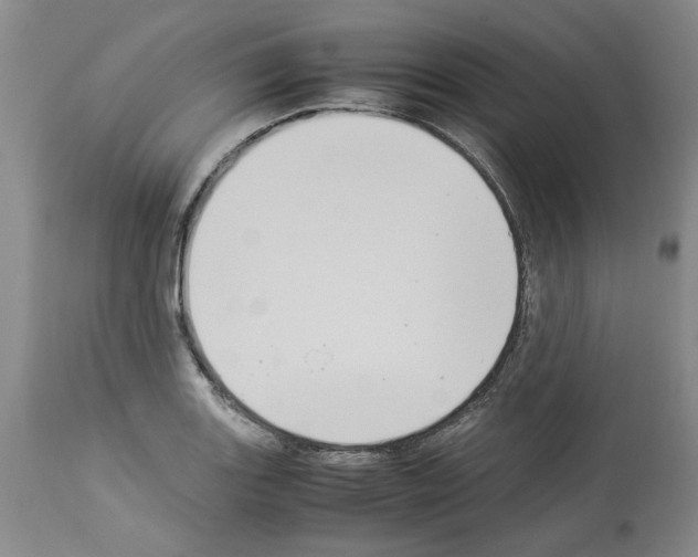 X0000113951131200911061258