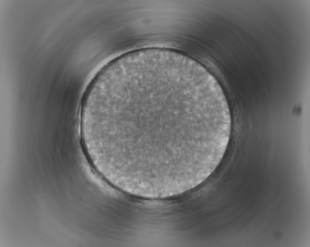 X0000113951132200911061258
