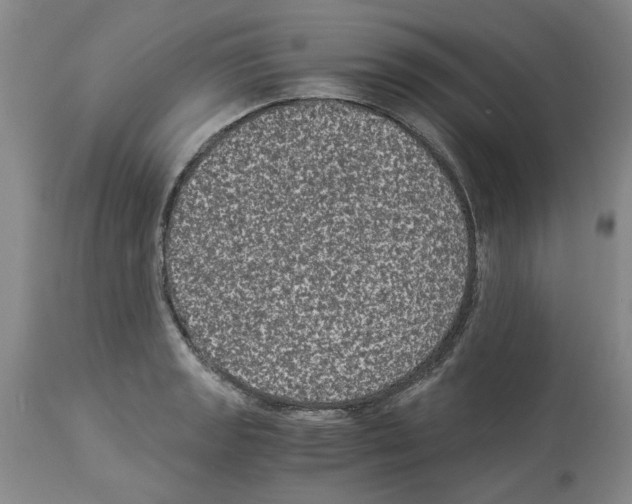 X0000113951133200911061258