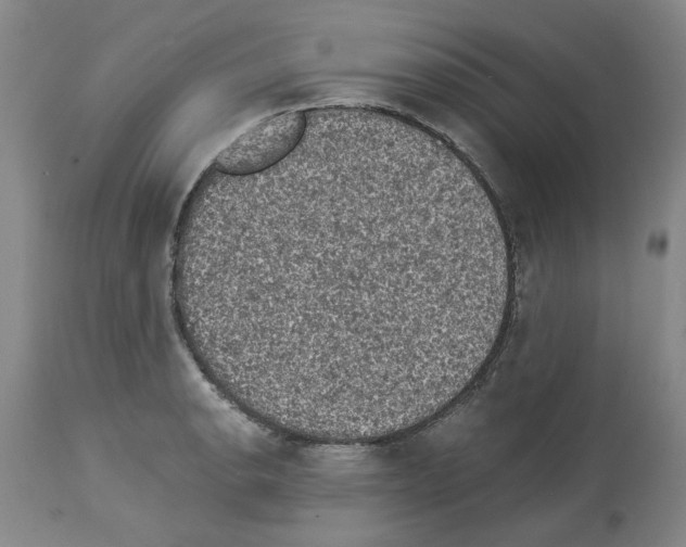 X0000113951134200911061258