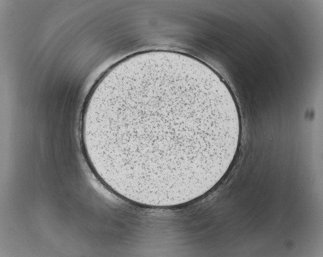 X0000113951136200911061258