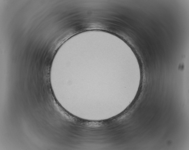 X0000113951137200911061258