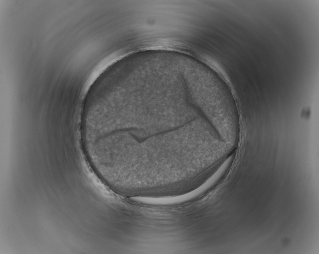 X0000113951138200911061258