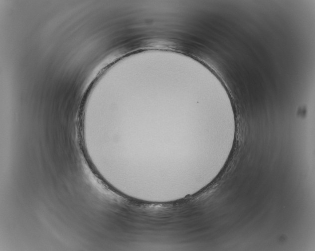 X0000113951139200911061258