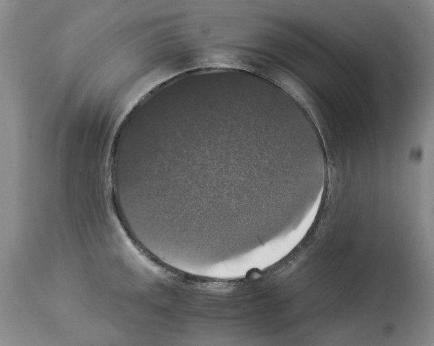 X0000113951141200911061258