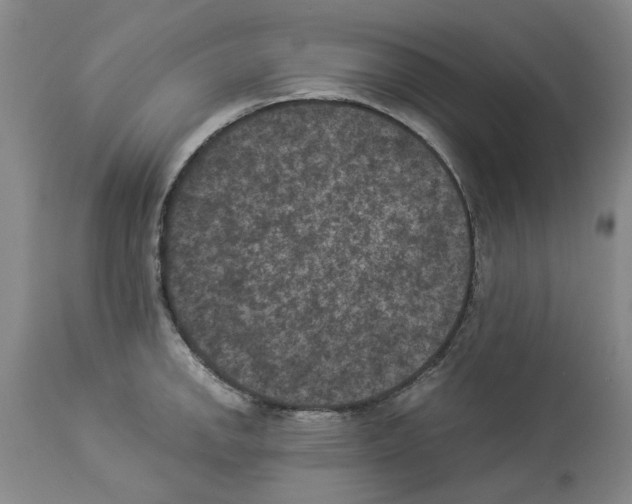 X0000113951142200911061258