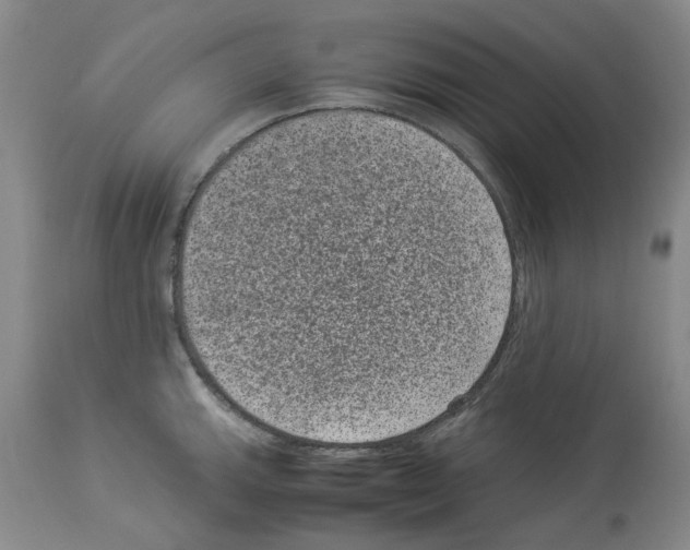 X0000113951143200911061258