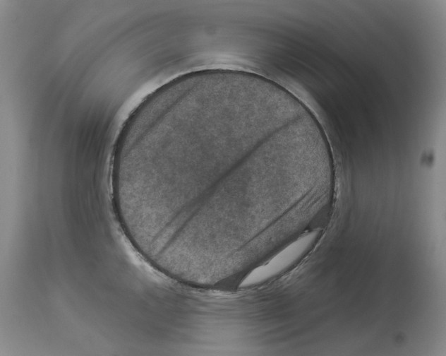 X0000113951144200911061258