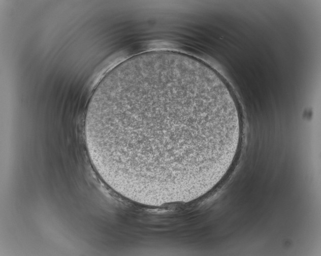 X0000113951145200911061258