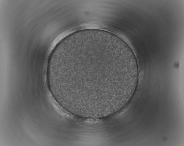 X0000113951146200911061258