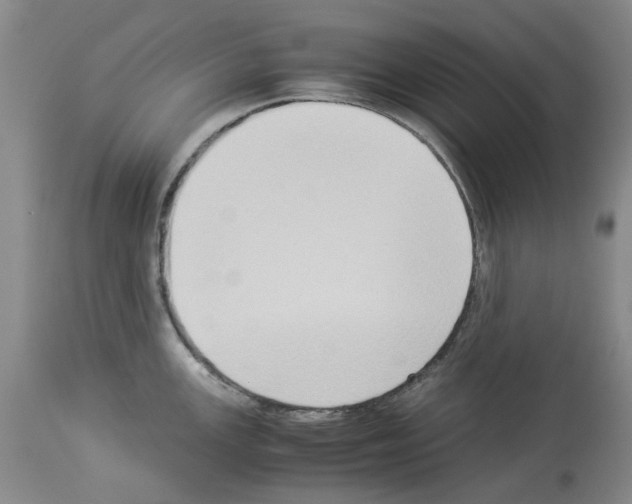 X0000113951147200911061258