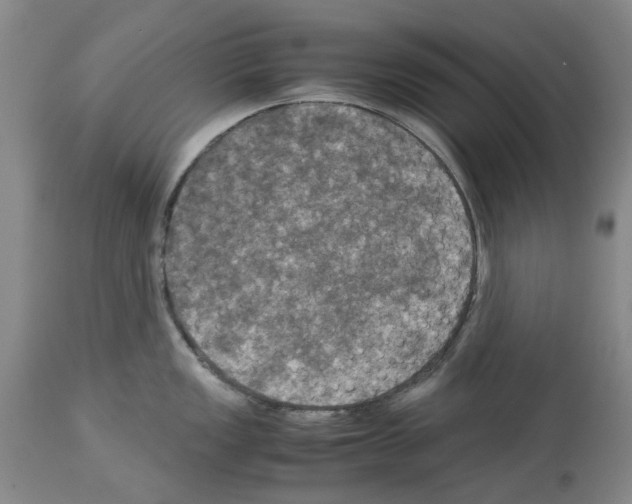 X0000113951149200911061258